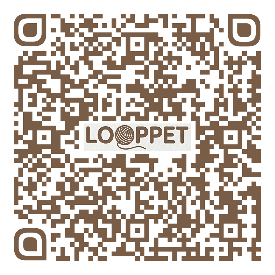 LOOPPET Instagram QR code