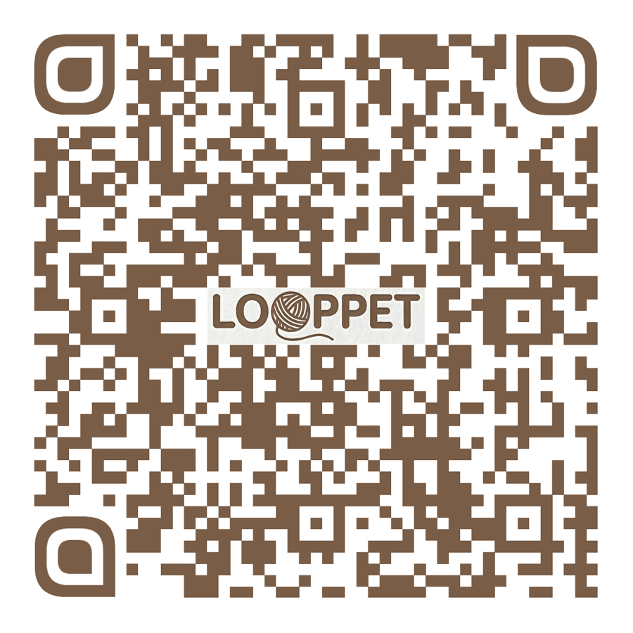 LOOPPET TikTok QR code