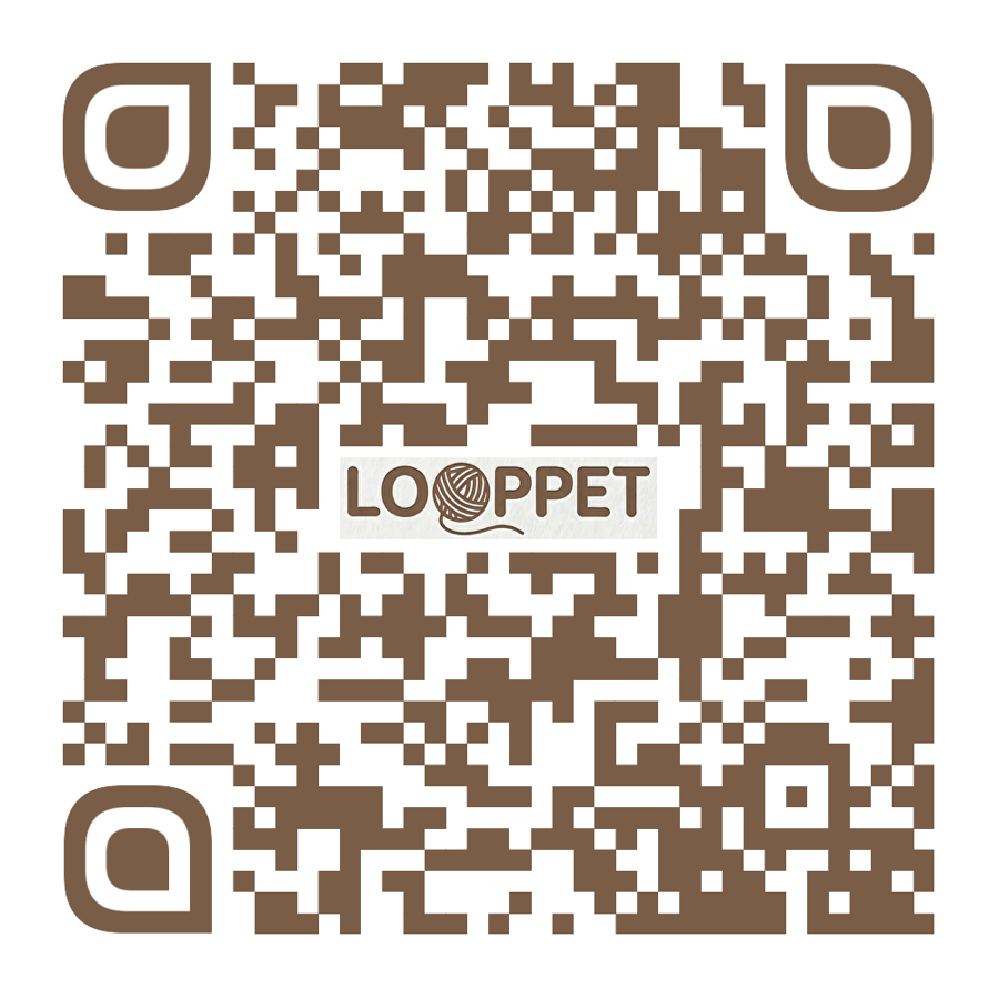 LOOPPET YouTube QR code